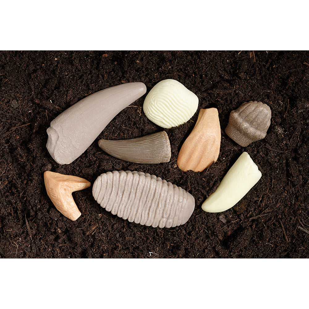 Yellow Door® Prehistoric Teeth Exploration Set