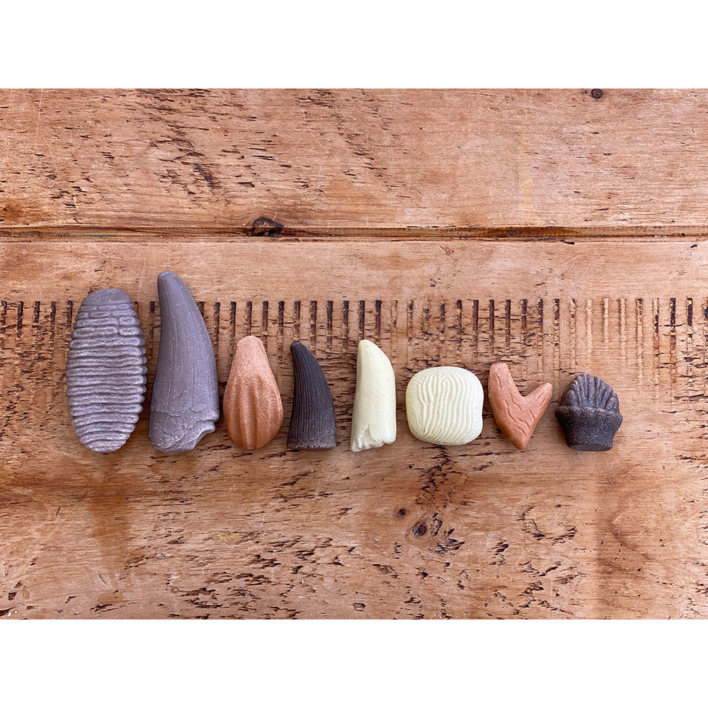 Yellow Door® Let’s Investigate Prehistoric Teeth | 8 Durable Fossil Tooth Replicas for Sensory Play, STEM Learning & Paleontology Exploration