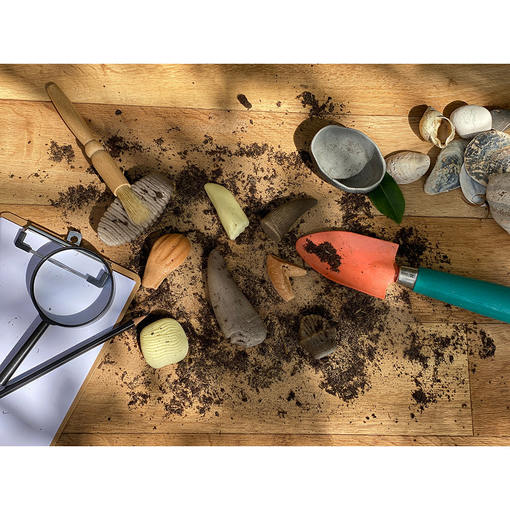 Yellow Door® Let’s Investigate Prehistoric Teeth | 8 Durable Fossil Tooth Replicas for Sensory Play, STEM Learning & Paleontology Exploration