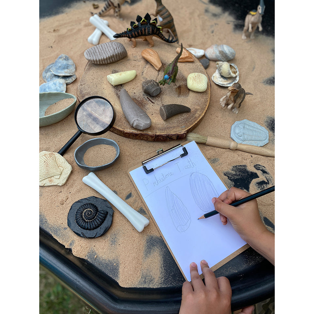 Yellow Door® Let’s Investigate Prehistoric Teeth | 8 Durable Fossil Tooth Replicas for Sensory Play, STEM Learning & Paleontology Exploration