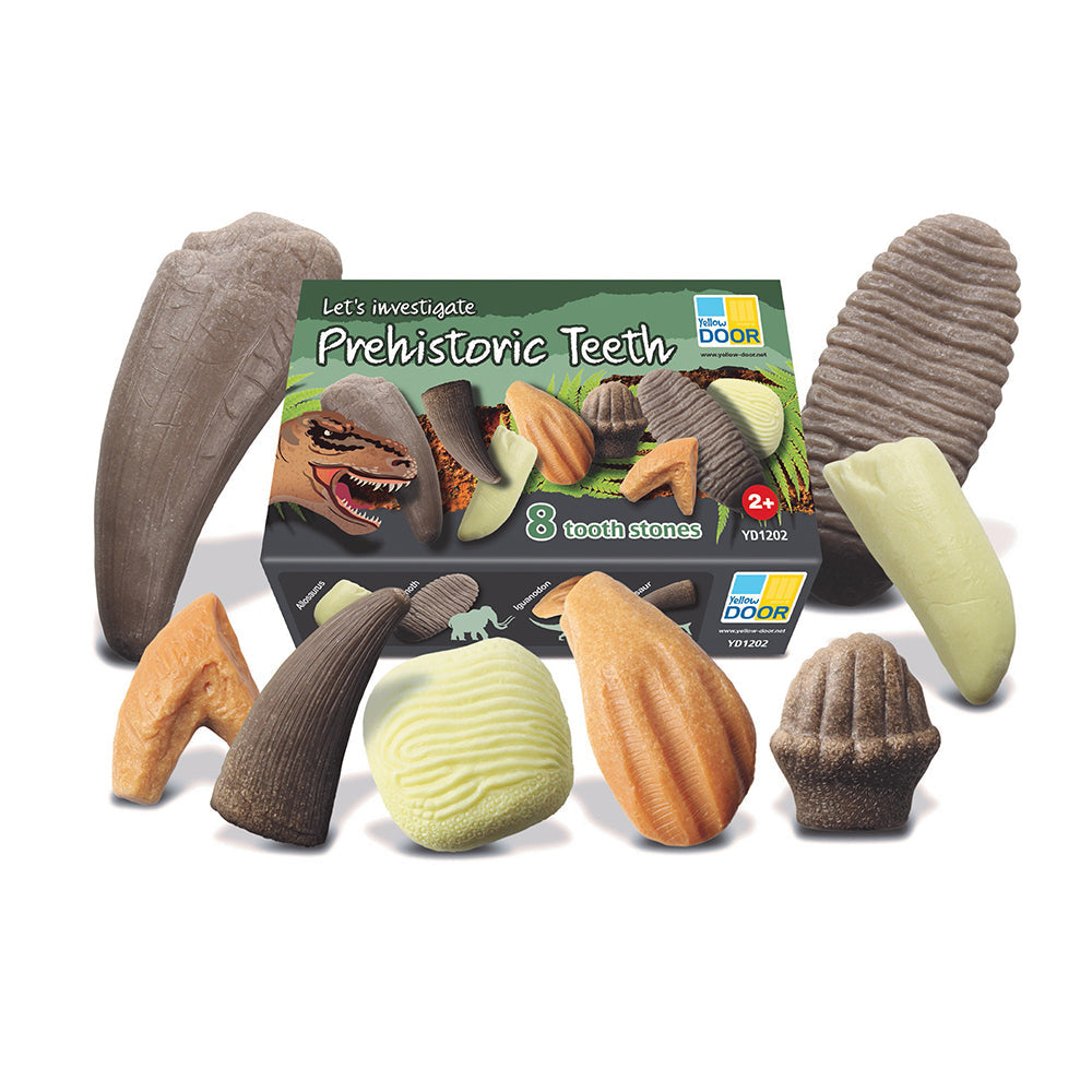 Yellow Door® Let’s Investigate Prehistoric Teeth | 8 Durable Fossil Tooth Replicas for Sensory Play, STEM Learning & Paleontology Exploration