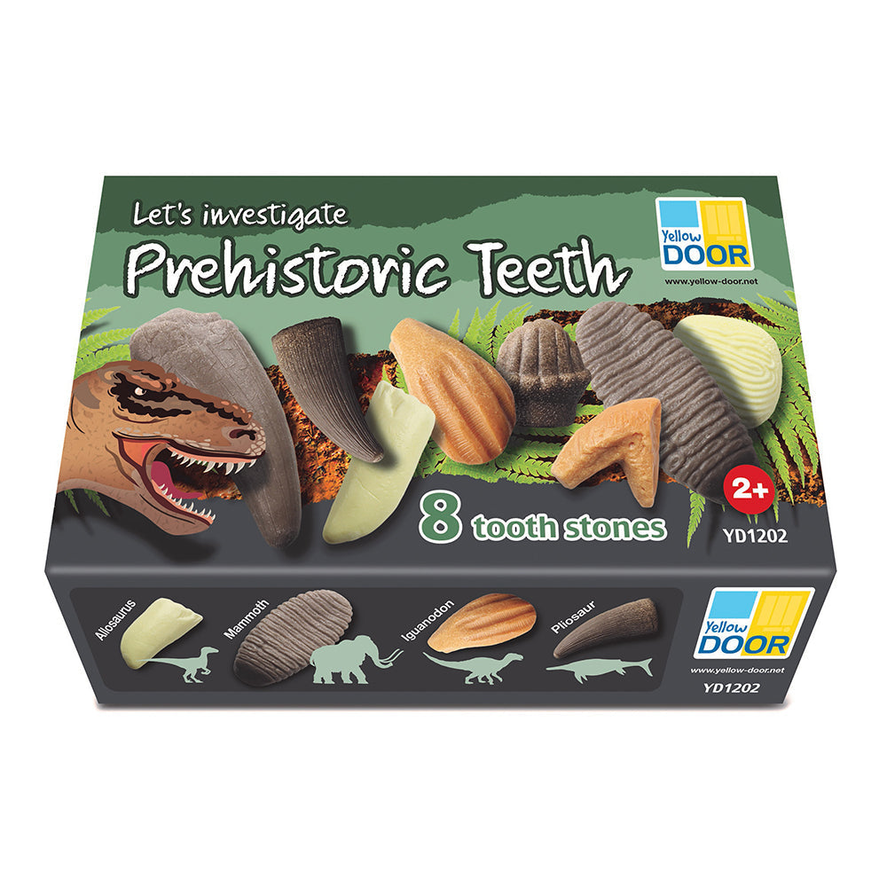 Yellow Door® Let’s Investigate Prehistoric Teeth | 8 Durable Fossil Tooth Replicas for Sensory Play, STEM Learning & Paleontology Exploration