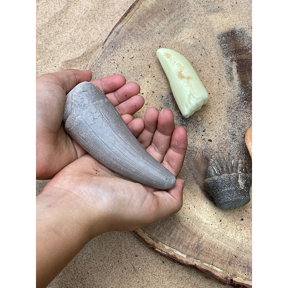Yellow Door® Let’s Investigate Prehistoric Teeth | 8 Durable Fossil Tooth Replicas for Sensory Play, STEM Learning & Paleontology Exploration