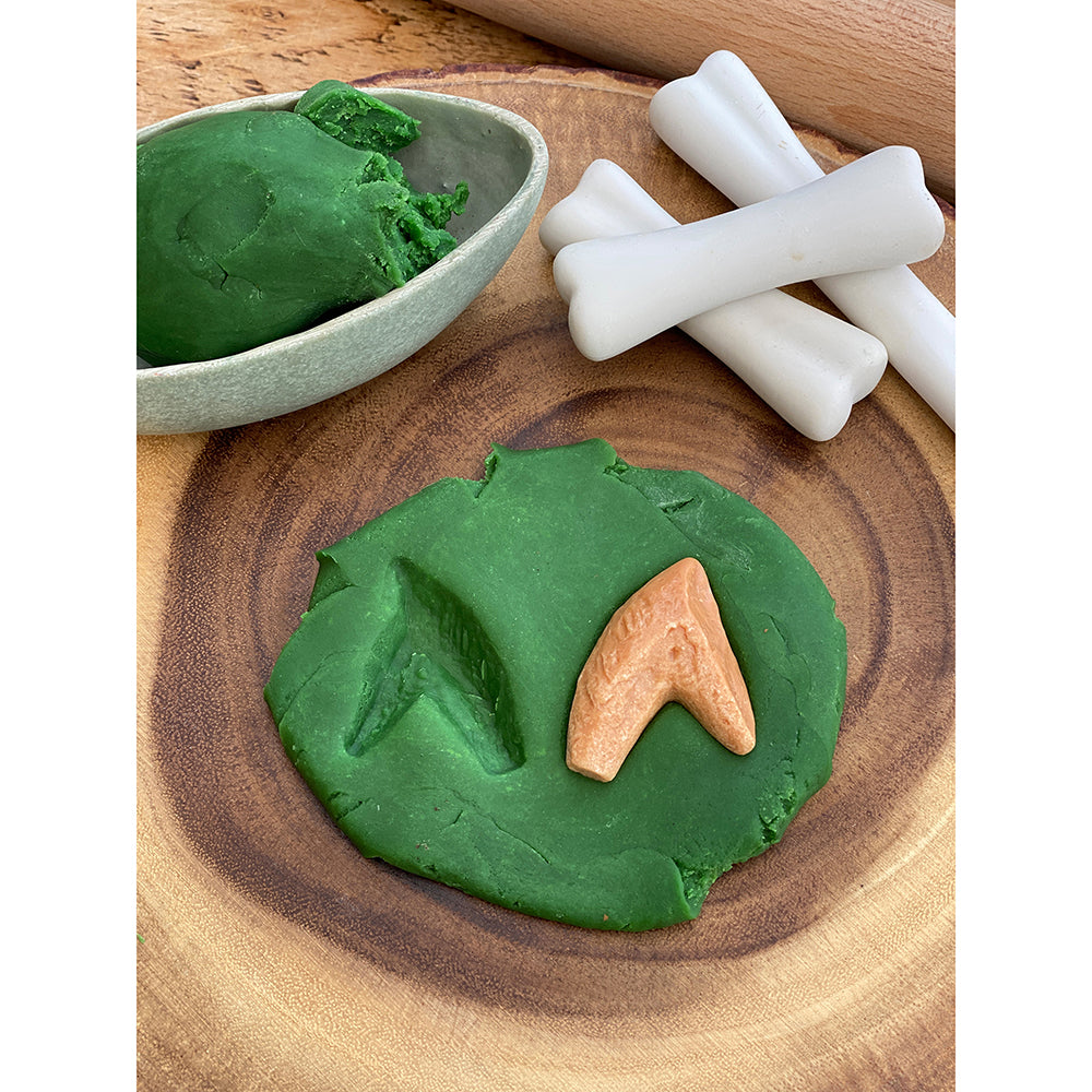 Yellow Door® Let’s Investigate Prehistoric Teeth | 8 Durable Fossil Tooth Replicas for Sensory Play, STEM Learning & Paleontology Exploration