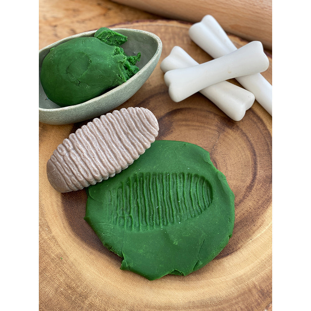 Yellow Door® Let’s Investigate Prehistoric Teeth | 8 Durable Fossil Tooth Replicas for Sensory Play, STEM Learning & Paleontology Exploration