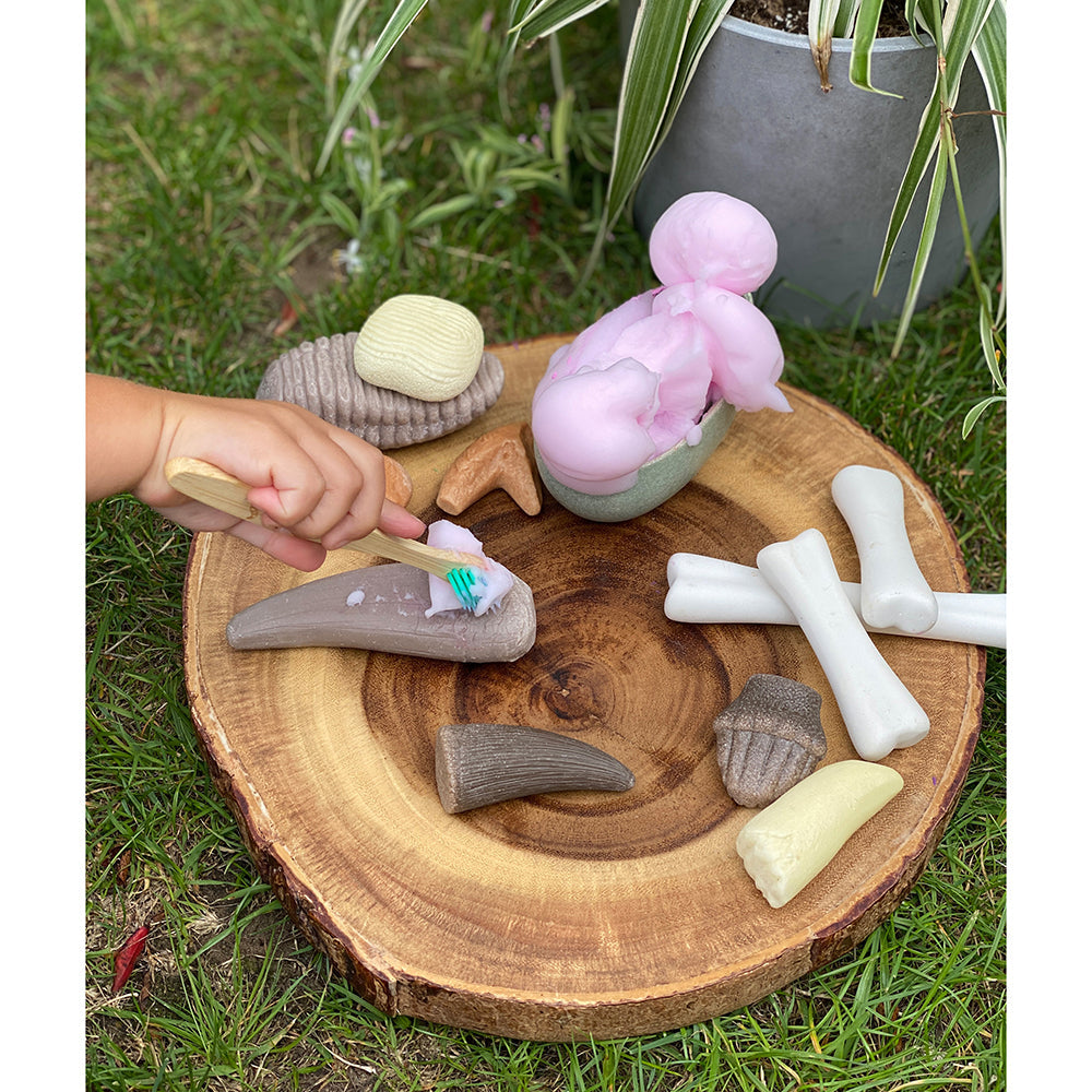 Yellow Door® Let’s Investigate Prehistoric Teeth | 8 Durable Fossil Tooth Replicas for Sensory Play, STEM Learning & Paleontology Exploration