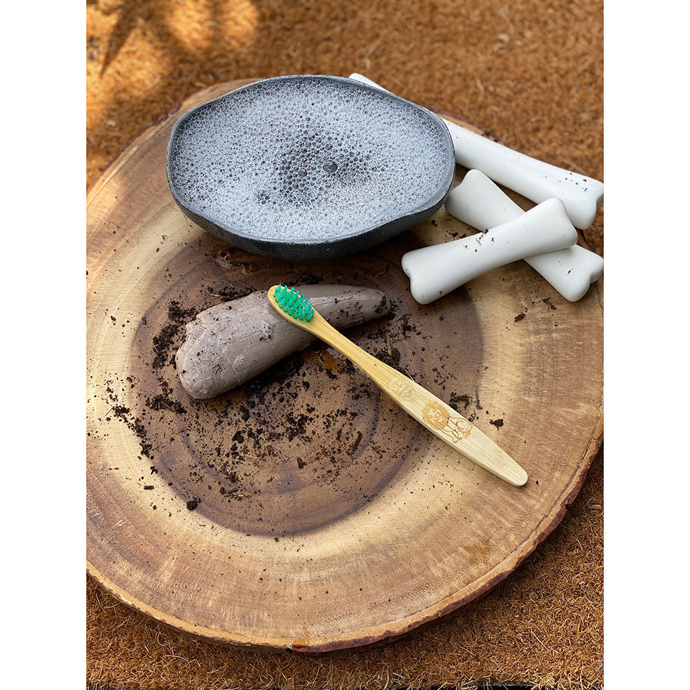 Yellow Door® Let’s Investigate Prehistoric Teeth | 8 Durable Fossil Tooth Replicas for Sensory Play, STEM Learning & Paleontology Exploration