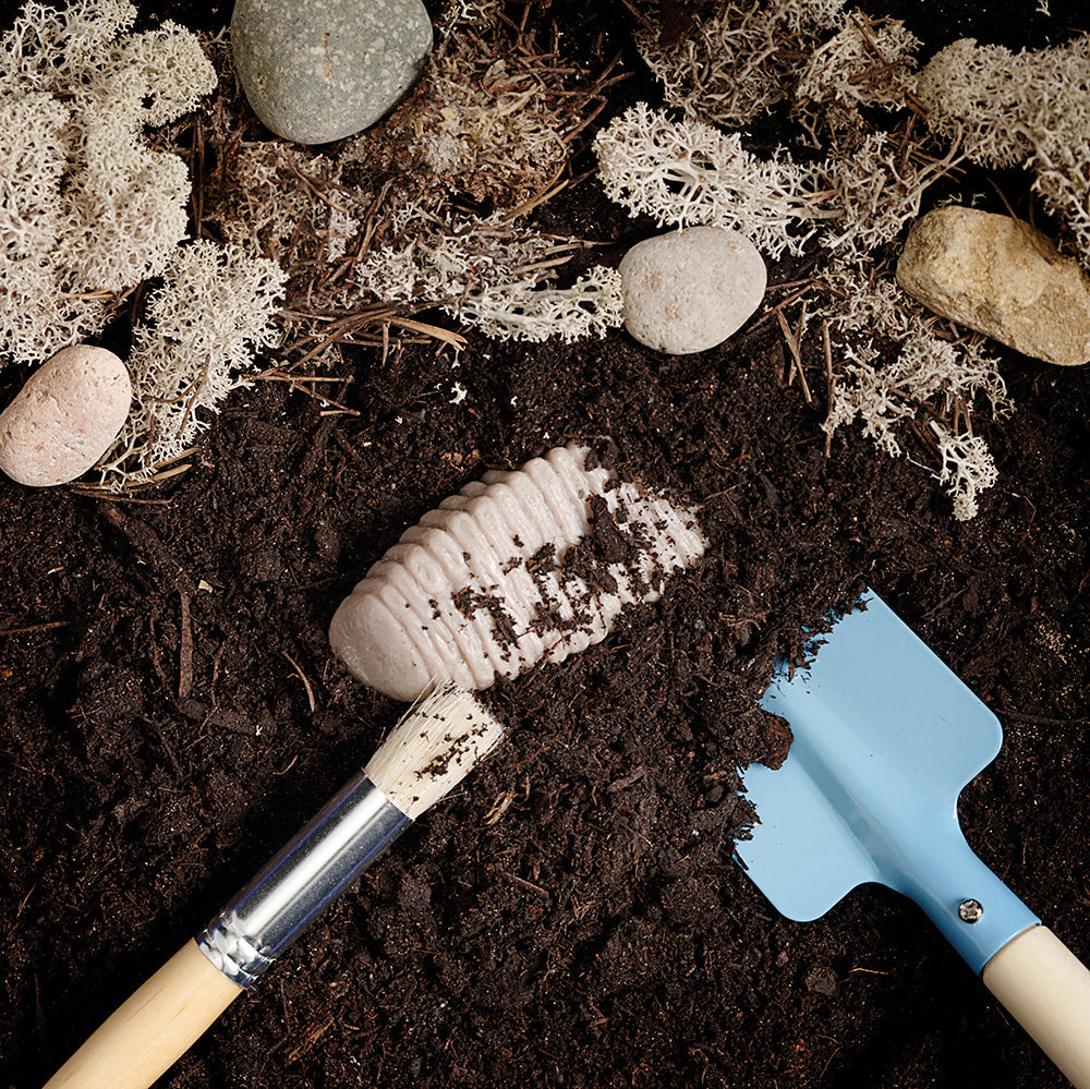 Yellow Door® Let’s Investigate Prehistoric Teeth | 8 Durable Fossil Tooth Replicas for Sensory Play, STEM Learning & Paleontology Exploration
