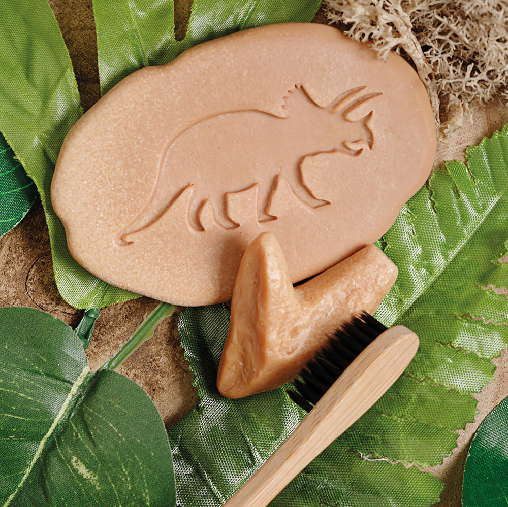 Yellow Door® Let’s Investigate Prehistoric Teeth | 8 Durable Fossil Tooth Replicas for Sensory Play, STEM Learning & Paleontology Exploration