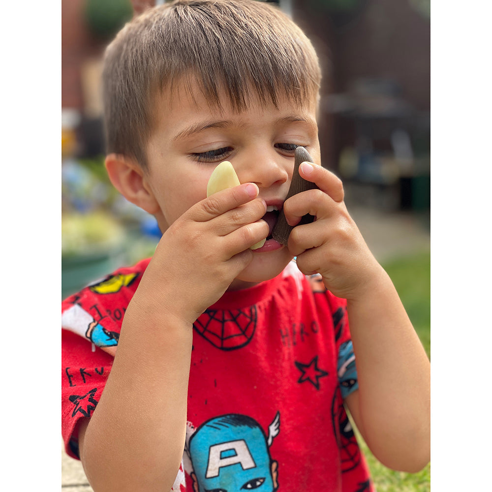 Yellow Door® Let’s Investigate Prehistoric Teeth | 8 Durable Fossil Tooth Replicas for Sensory Play, STEM Learning & Paleontology Exploration