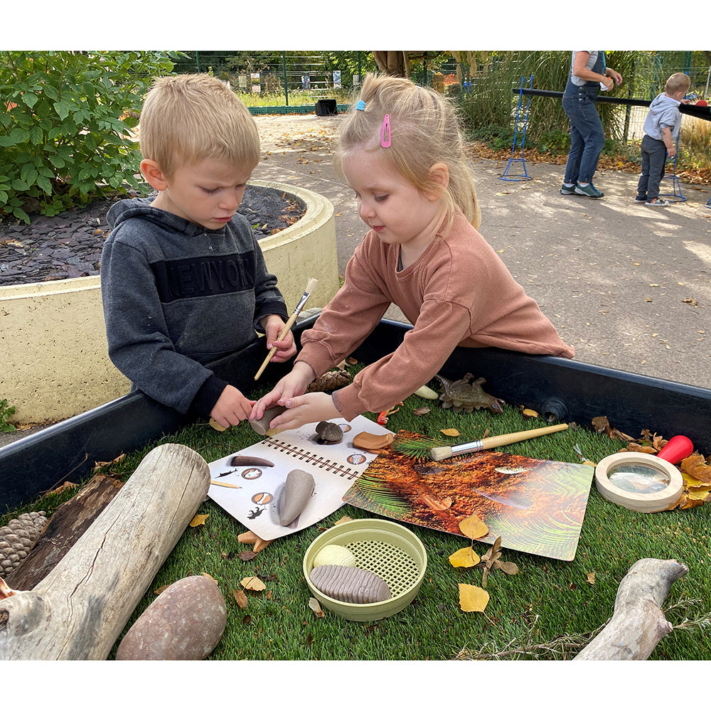 Yellow Door® Let’s Investigate Prehistoric Teeth | 8 Durable Fossil Tooth Replicas for Sensory Play, STEM Learning & Paleontology Exploration