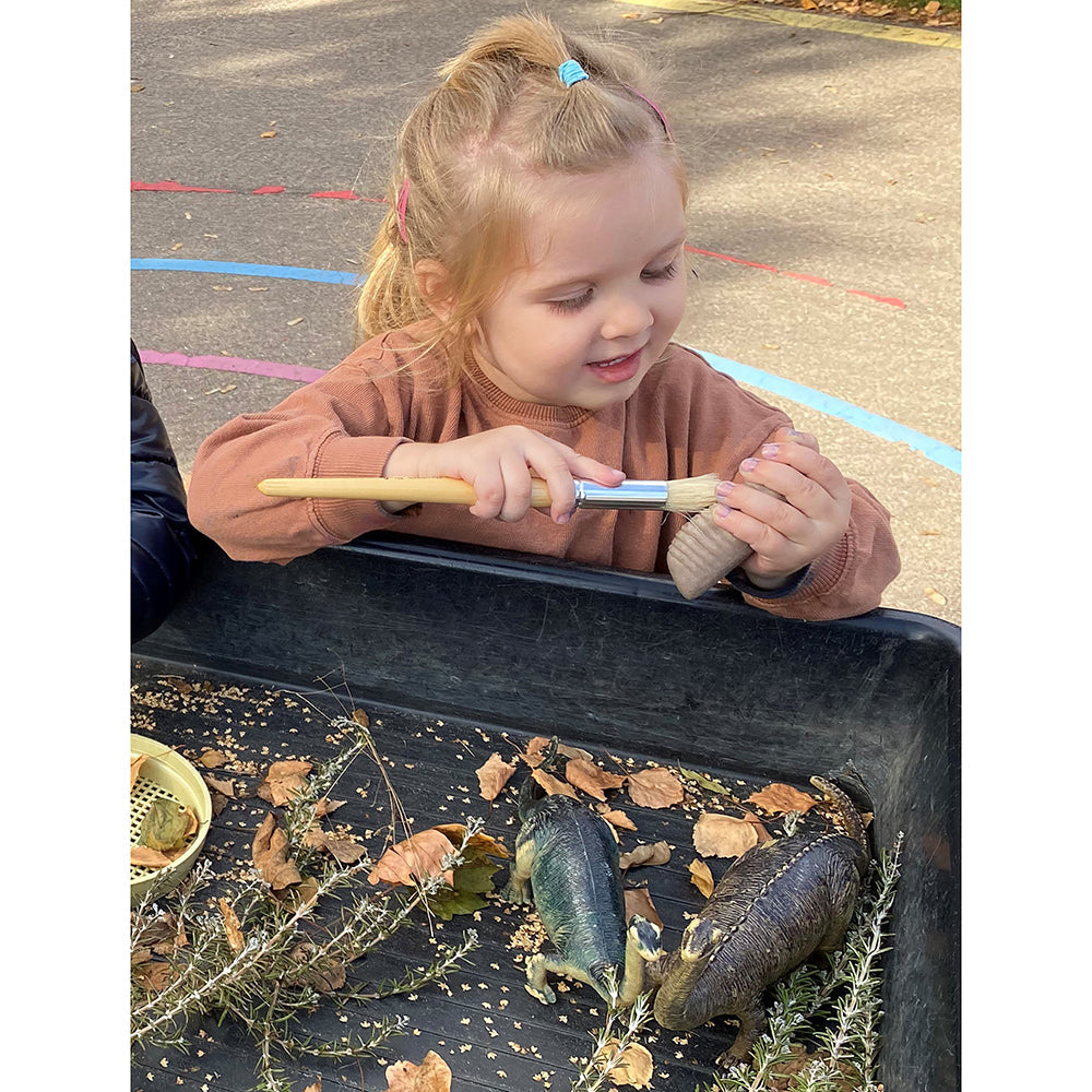 Yellow Door® Let’s Investigate Prehistoric Teeth | 8 Durable Fossil Tooth Replicas for Sensory Play, STEM Learning & Paleontology Exploration