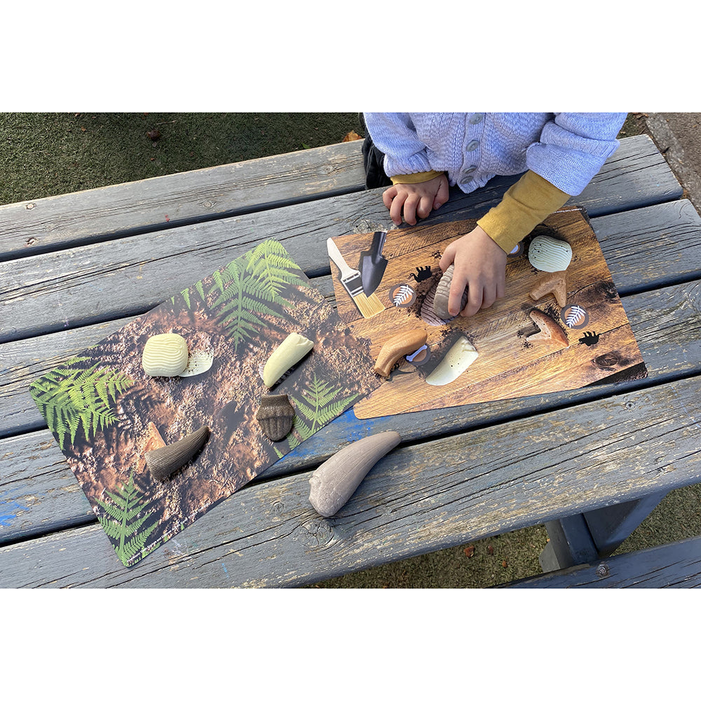 Yellow Door® Prehistoric Teeth Exploration Set