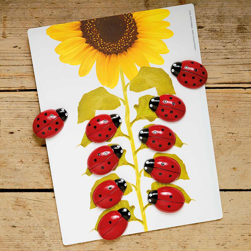 Yellow Door® Ladybug Early Number Set
